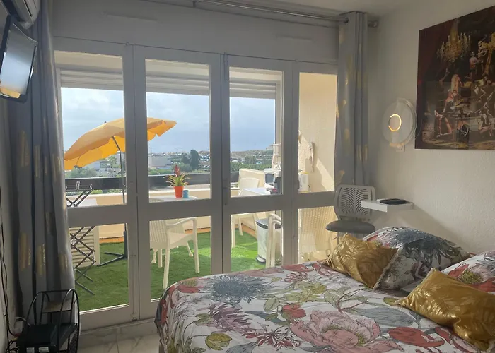 SHOWTIME NATURISTE PORT NATURE 6 parking privé clim ascenseur vue mer